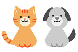 驚異の動物学!動物の寿命が最も長いのはどれ?
